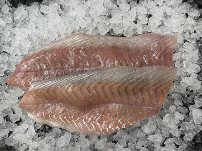 Frisches Seelachsfilet ohne Haut 500g